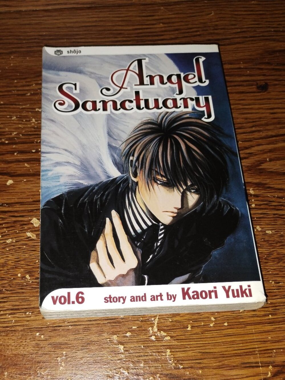 Angel Sanctuary Vol. 6 Manga in English by Kaori Yuki (Viz Media)